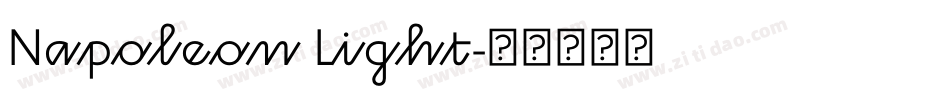 Napoleon Light字体转换